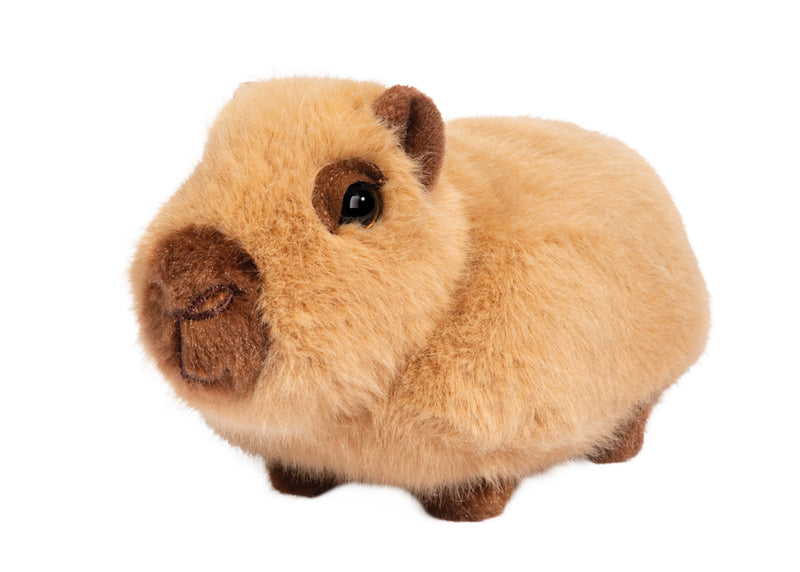 Chattie Capybara