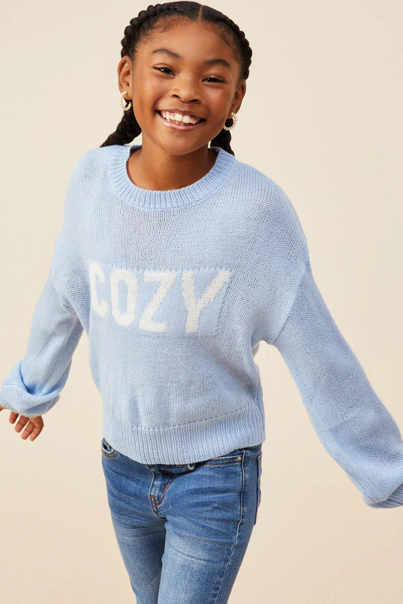 Cozy Graphic Knit Pullover Sweater